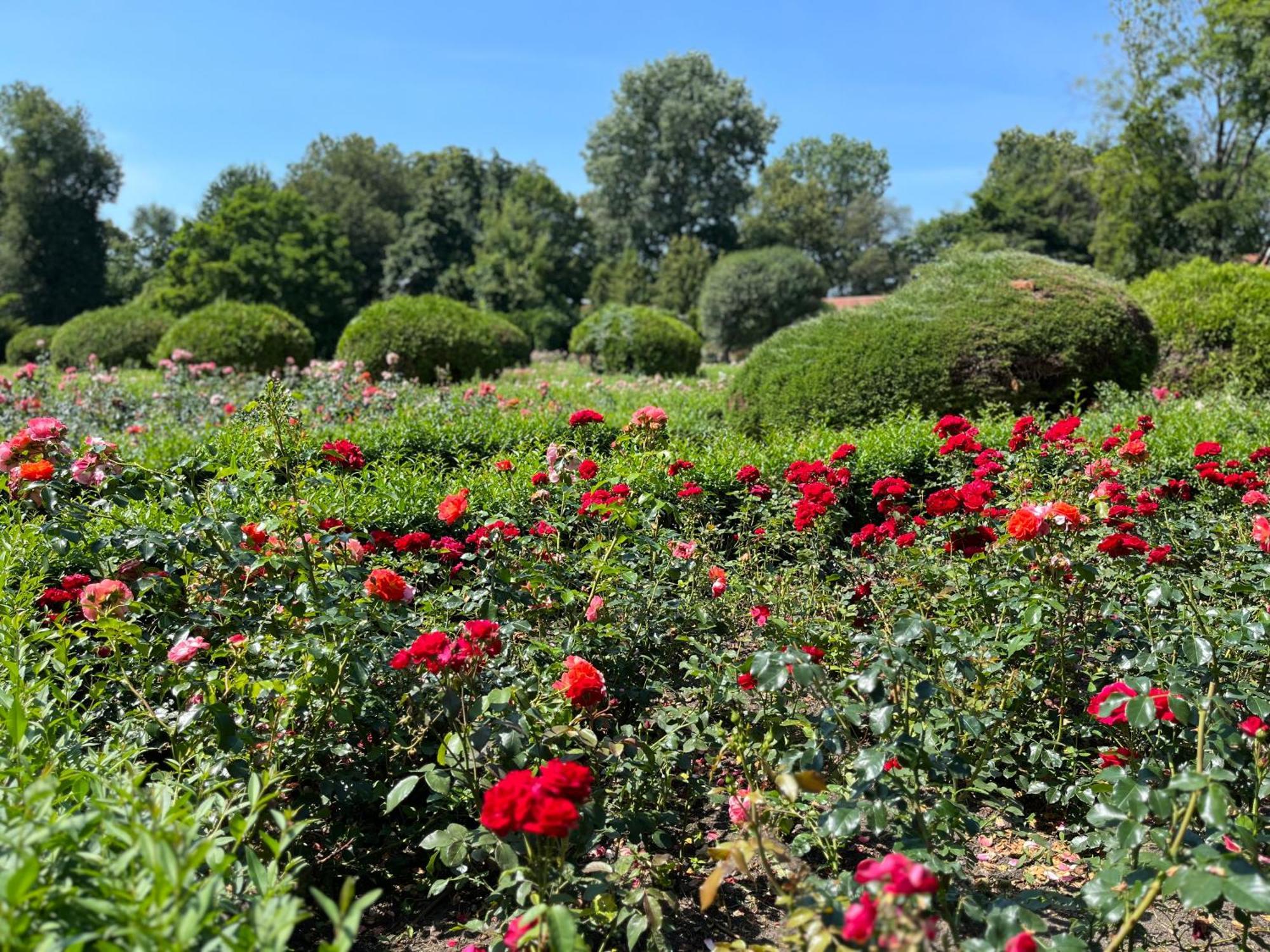 Dedek Park - Historyczny Dworek W Pieknym Parku Skaryszewskim Obok Stadionu Narodowego Aparthotel 3*
