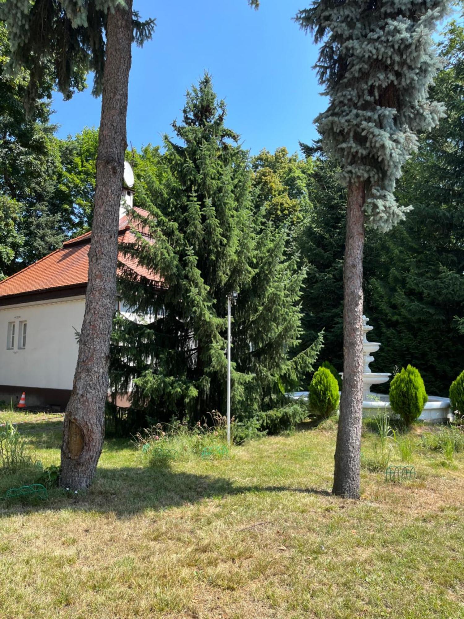 Dedek Park - Dworek W Pięknym Parku Skaryszewskim Obok Stadionu Narodowego 3*
